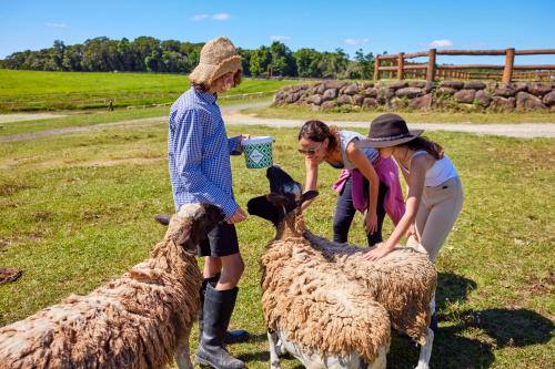 KUR-Cow farm escape 35 minutes from Cairns