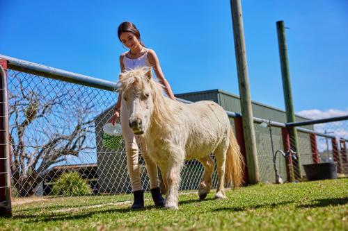 KUR-Cow farm escape 35 minutes from Cairns