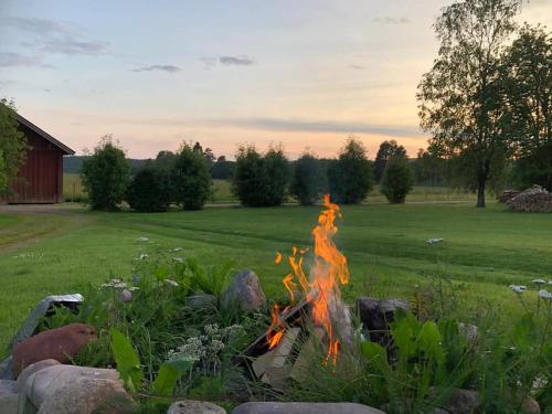 Garden, Countryside Holiday home "Our Little Farm" in Hagfors
