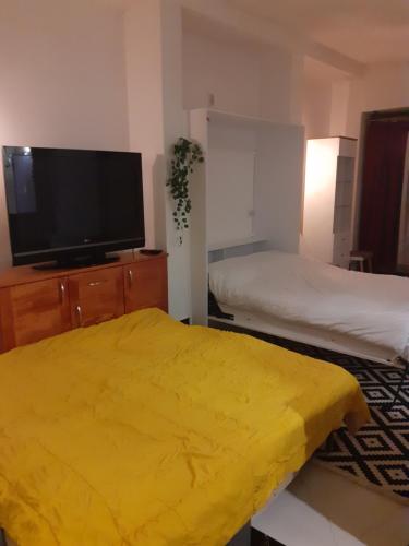 Zaara Guest House - image 3