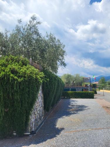 Salvia e Rosmarino - image 7