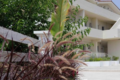 Maggana Residence in Kefalonia