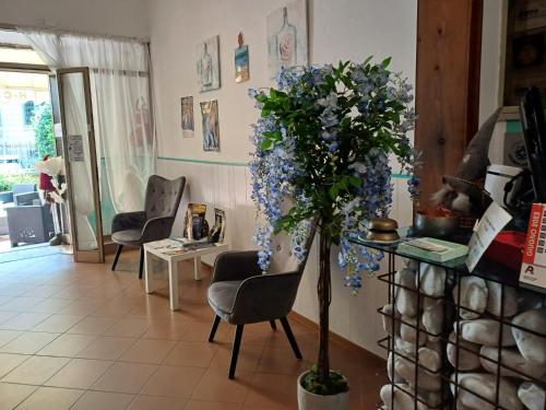 Hotel Canarco - image 3