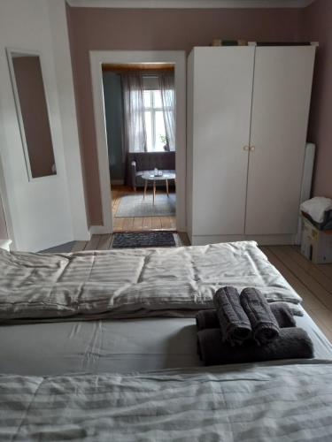 1 bedroom apartment, whole flat in آرفيكا