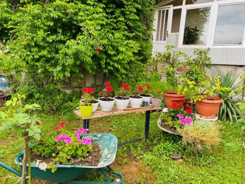 Unaqua Apartments - image 2