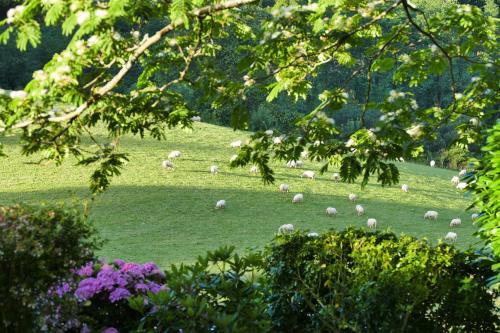 BaskoParadis I Eco-Gites I Calme I Vue I Ânes I Jardin I Montagne I Nature