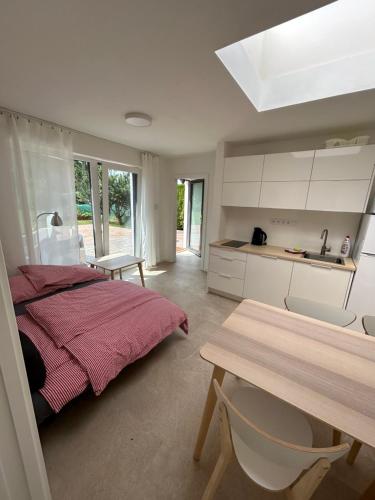 virtuve, Red Travel Apartment in Dvur Kralove Nad Labem