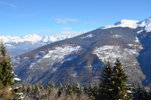 Immeuble Panorama - image 6