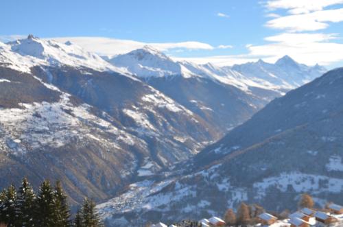 Immeuble Panorama - image 13