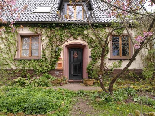 Dolcefarniente in Dohm-Lammersdorf, Deutschland