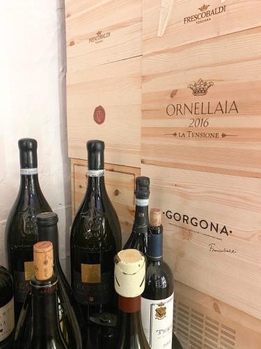 473788221 Hotel Baia D'Oro - Adults Only
