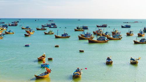 The Linh Hoi An - image 5