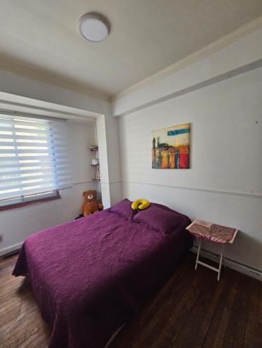 Bella habitación en el corazón de Santiago