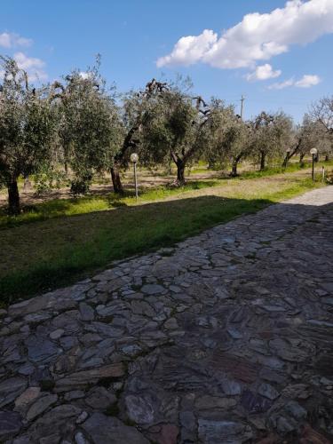 Casa Framida, Cecina (fotografie 7)