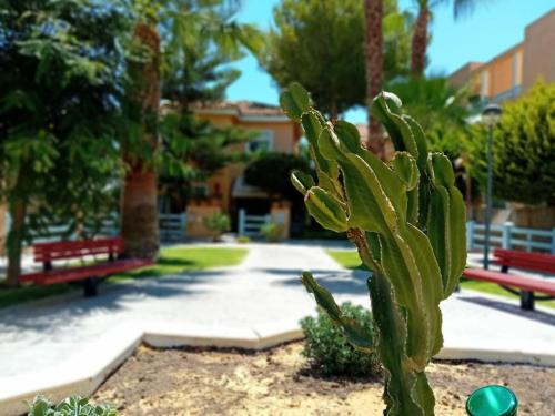 Casa, 300 metros Playa, Wifi, Parking., Vera (fotografie 6)