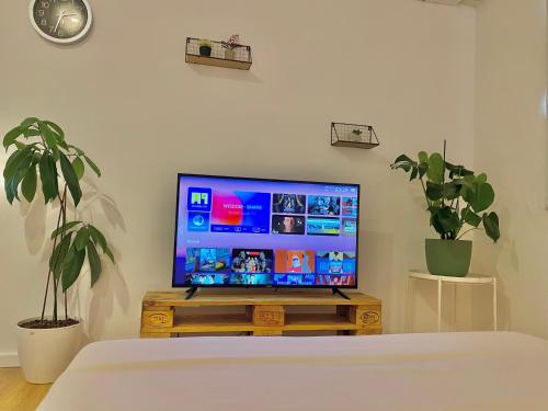 Lucas Central Oasis Studios, Tirana (photo 7)