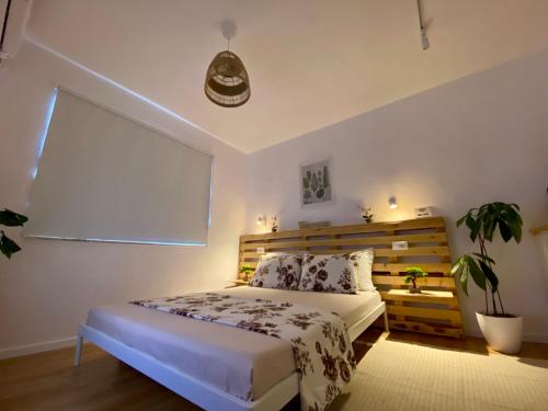 Lucas Central Oasis Studios, Tirana (photo 3)