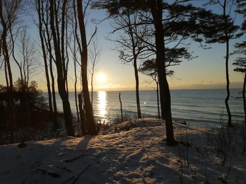 Poilsis Giruliuose Poilsis Giruliuose