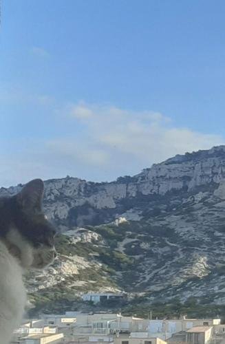 MAISON VUE MAGISTRALE SUR LE PORT ET CALANQUES DES GOUDES MARSEILLE, Marseille (Foto 6)