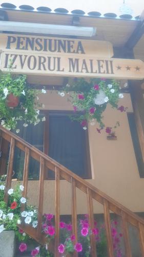 Izvorul Maleii