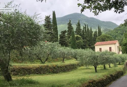 Podere San Biagio - Apartment - Bagni San Filippo