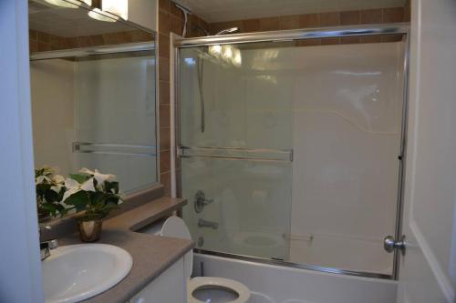 Beautiful 2 bedroom place in Surrey/Langley in Surrey, Canada