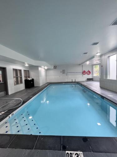 游泳池, Staybridge Suites Federal Way - Seattle South in 華盛頓費德勒爾韋 (WA)