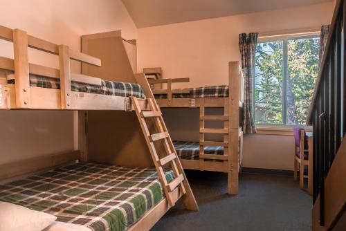 Bed in 6-Bed Mixed Dormitory Room with Private Bathroom