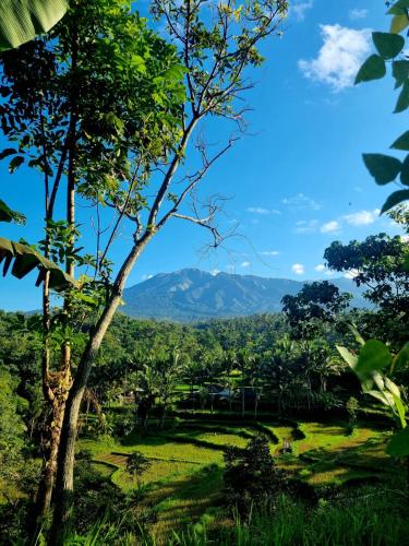 Girang Rinjani Bungalows