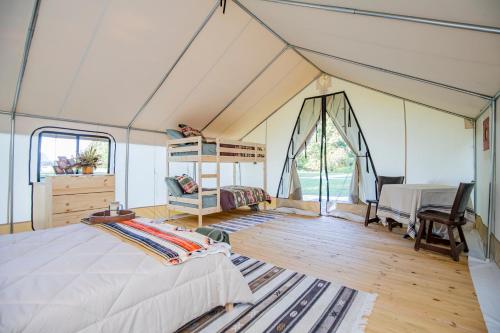 Starlit Nights during Natures Cozy Retreat