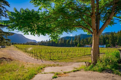 First Estate Winery - Accommodation - Peachland