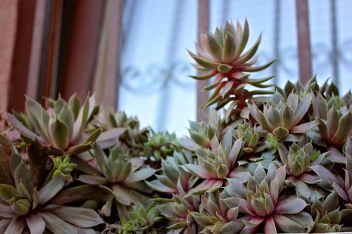 SARAJEVO HOME SARAJEVO HOME