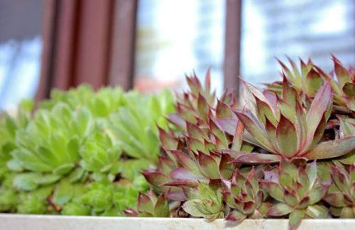 SARAJEVO HOME SARAJEVO HOME