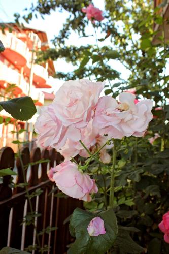 SARAJEVO HOME SARAJEVO HOME