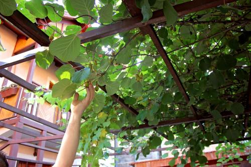 SARAJEVO HOME SARAJEVO HOME