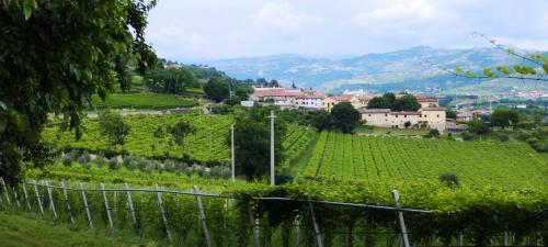 Relax fra le colline di Verona