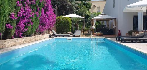 Apulia Time 5