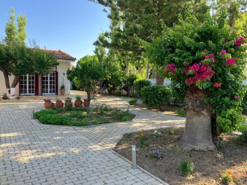 Mediterranean house with beautiful garden