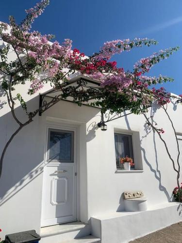 ParoDise - Traditional Apartment for 2 in Paroikia