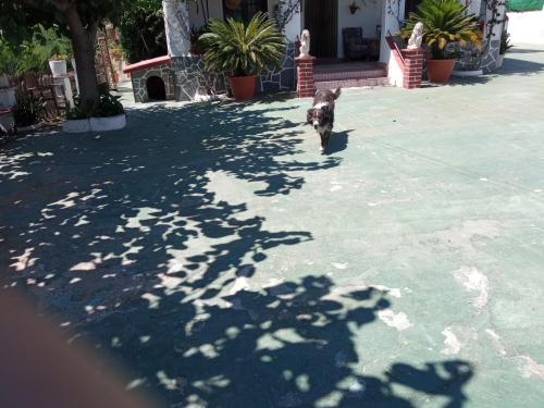  Casa Rural Cal Josefina & Tomas in Ardenya