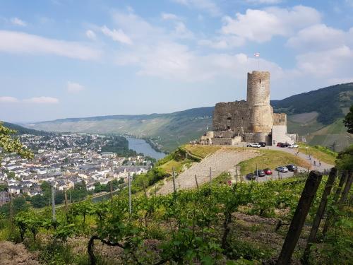 Apartment an der Mosel 2