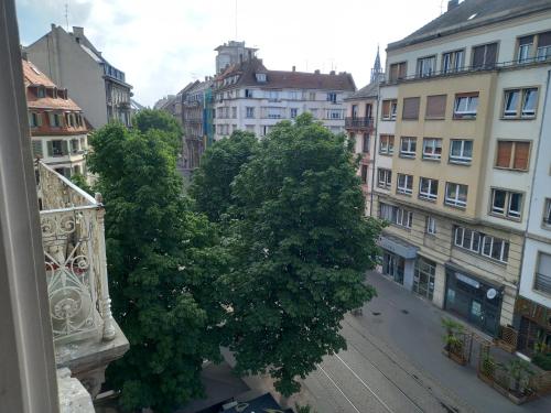Grand appartement au coeur de Strasbourg, Strasbourg (photo 6)