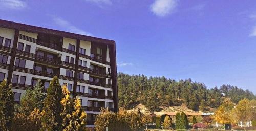 Аспен валей С420, Razlog (foto 2)