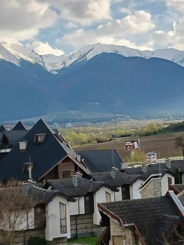 Аспен валей С420, Razlog (foto 10)