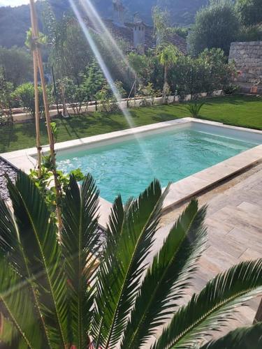 Maison avec piscine Côte d'Azur - Location, gîte - Auribeau-sur-Siagne
