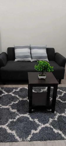 Amaia steps altaraza