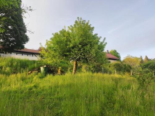 romantische Ferienwohnung im Vogelsbergkreis