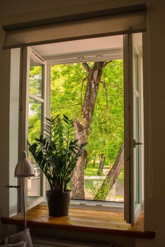 Kalamaja Park Apartment, Tallinn (photo 3)