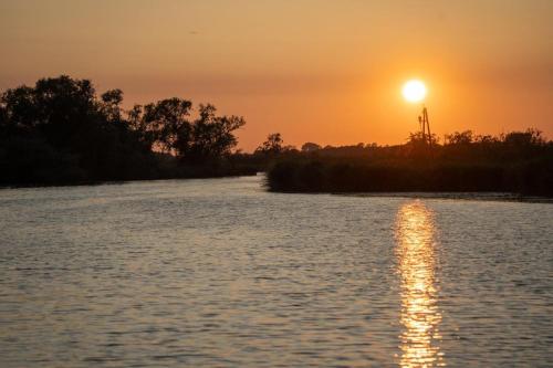 Schwimmpod an der Peene