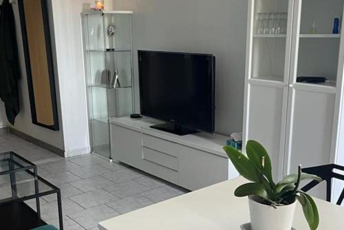 Joli T2 proche hôpitaux sud